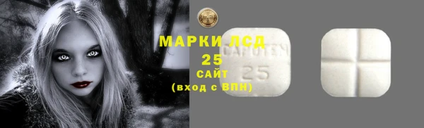 PSILOCYBIN Вяземский